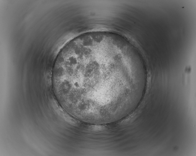 X0000114681409200911121446