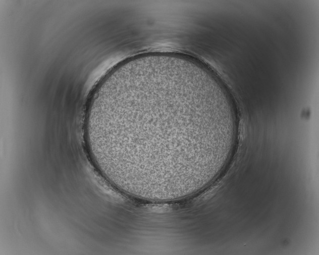 X0000114681410200911121446