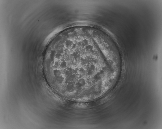 X0000114681411200911121446