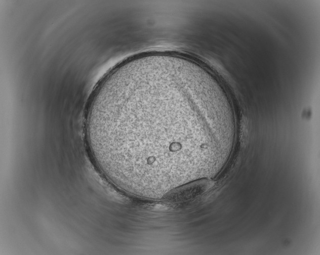 X0000114681412200911121446