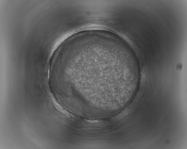 X0000114681413200911121446
