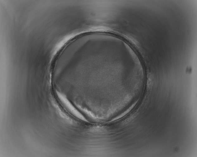 X0000114681414200911121446