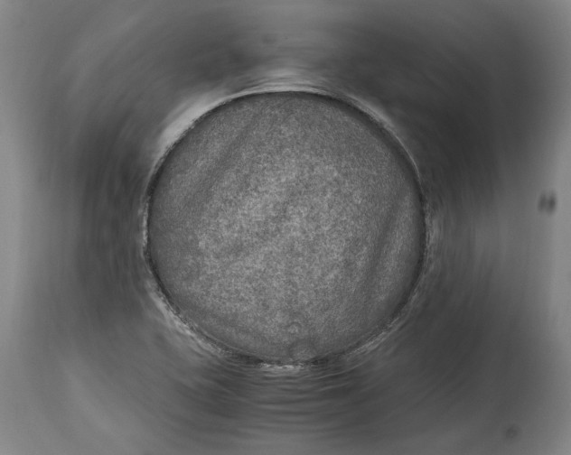X0000114681415200911121446