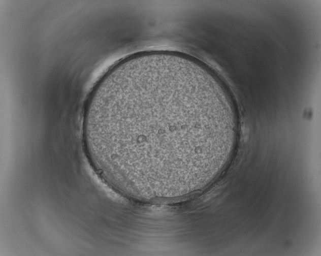 X0000114681416200911121446