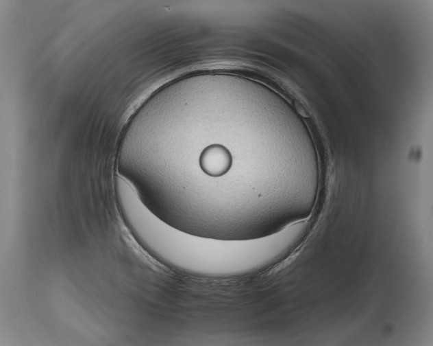 X0000114681417200911121446