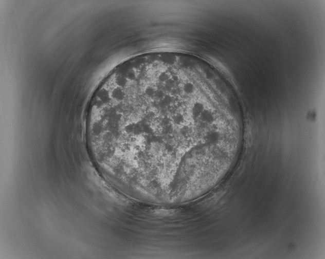 X0000114681419200911121446
