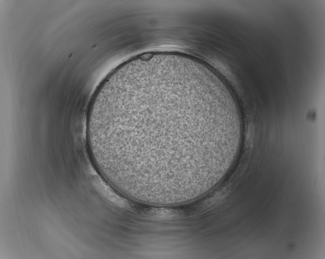 X0000114681420200911121446
