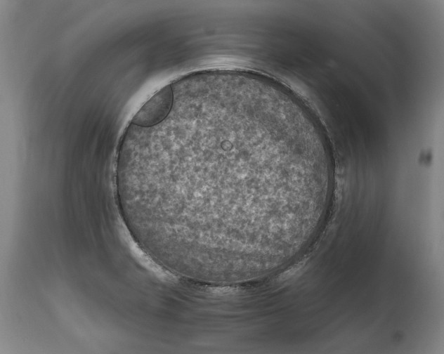 X0000114681421200911121446