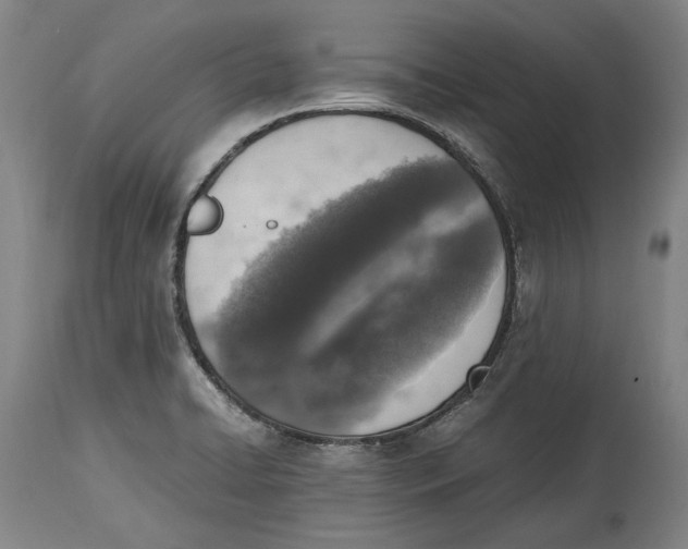X0000114681422200911121446