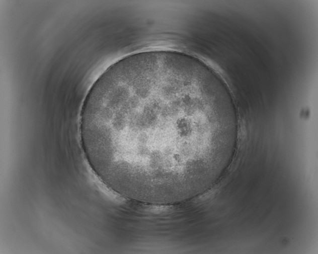 X0000114681423200911121446