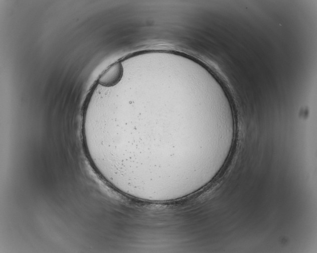 X0000114681424200911121446