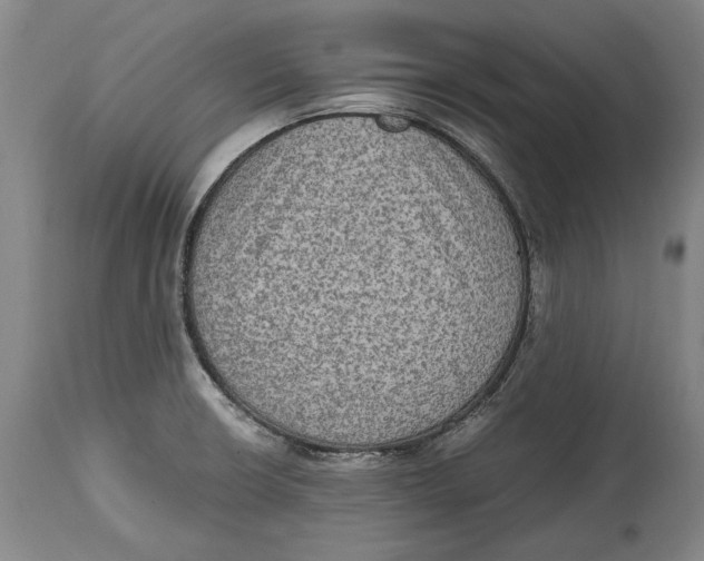 X0000114681426200911121446