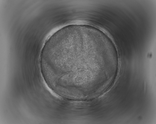 X0000114681429200911121447