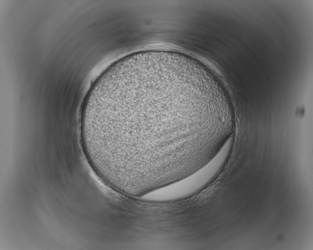 X0000114681430200911121447