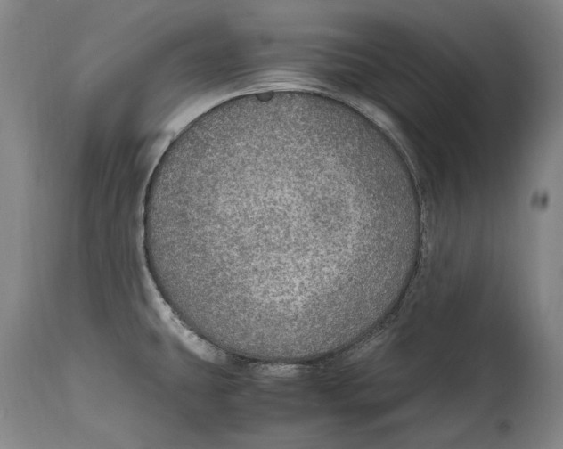 X0000114681431200911121447