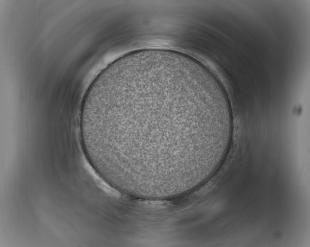 X0000114681432200911121447