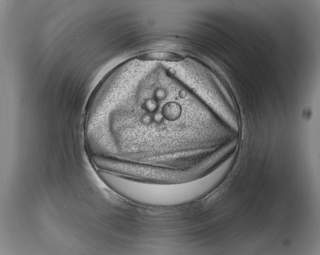 X0000114681434200911121447