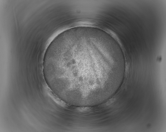 X0000114681435200911121447
