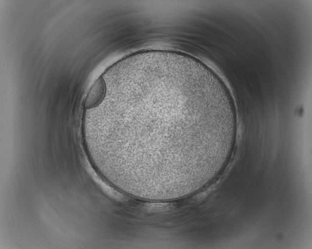 X0000114681437200911121447
