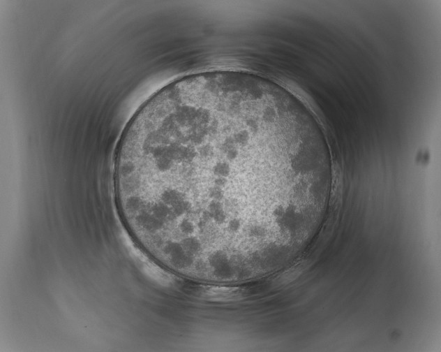 X0000114681439200911121447