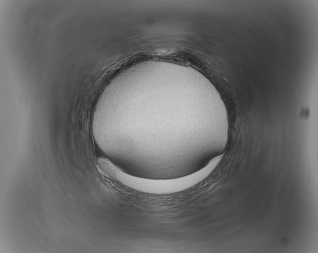 X0000114681441200911121446