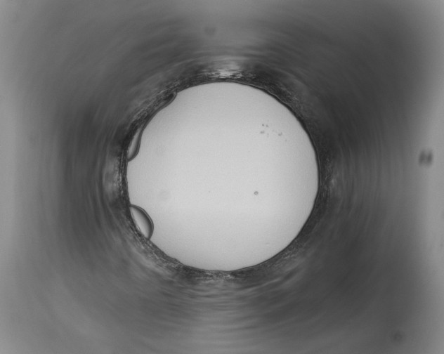 X0000114681442200911121446