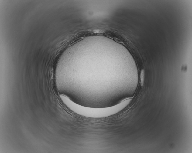 X0000114681443200911121446