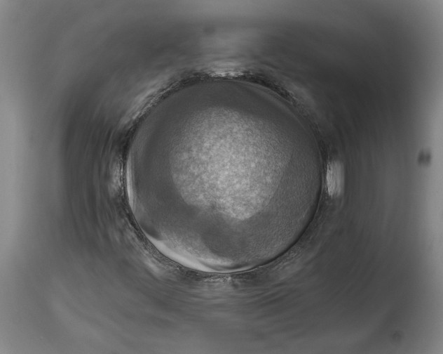 X0000114681444200911121446