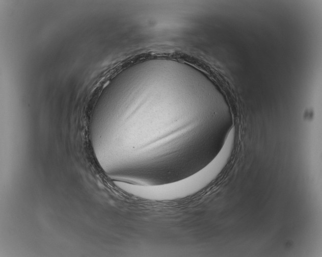 X0000114681445200911121446