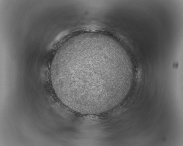 X0000114681446200911121446