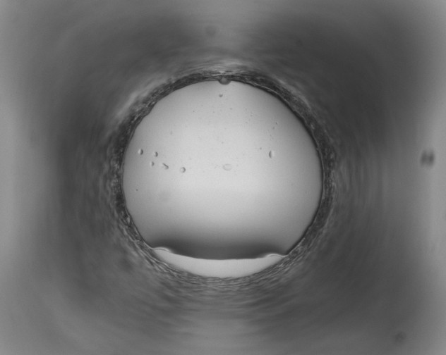 X0000114681447200911121446