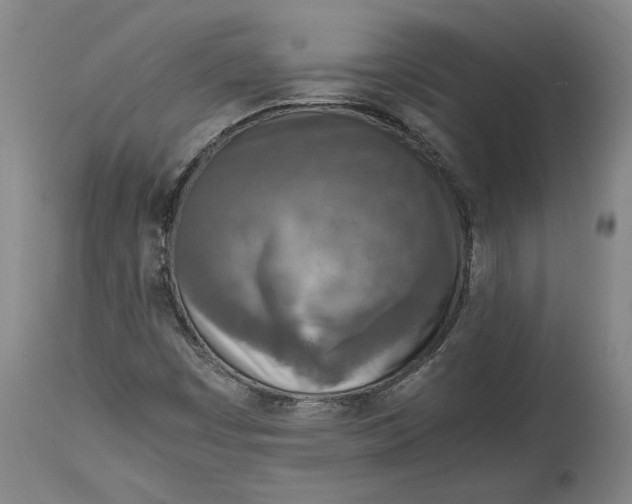 X0000114681449200911121446