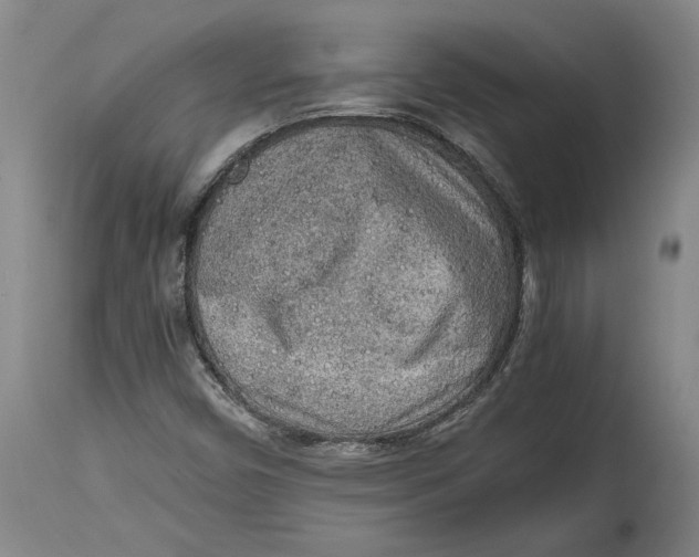 X0000114681450200911121446
