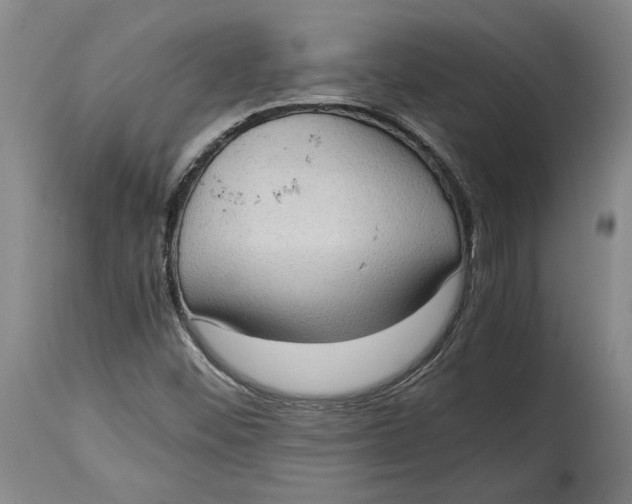 X0000114681452200911121446