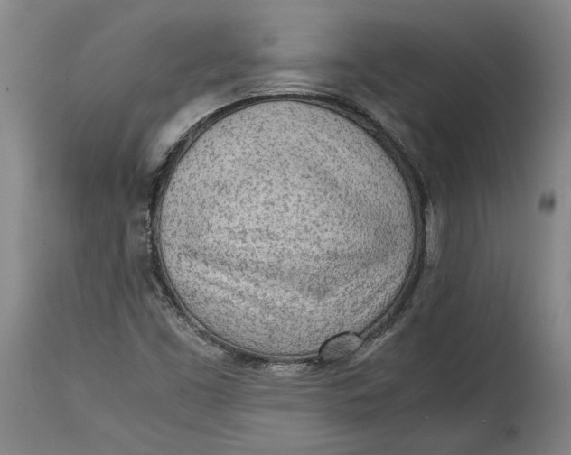 X0000114681453200911121446
