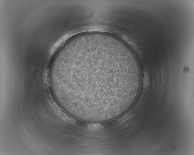 X0000114681454200911121446