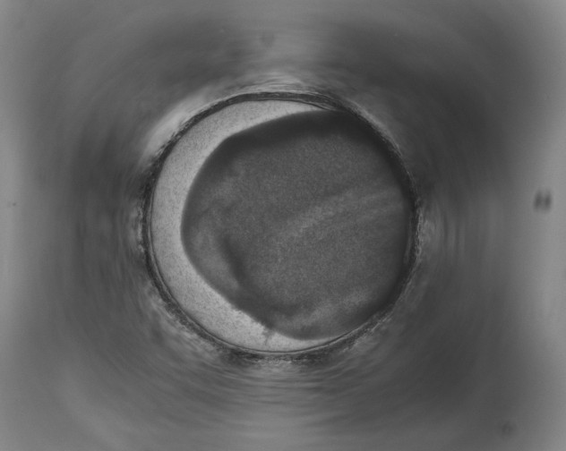X0000114681455200911121446