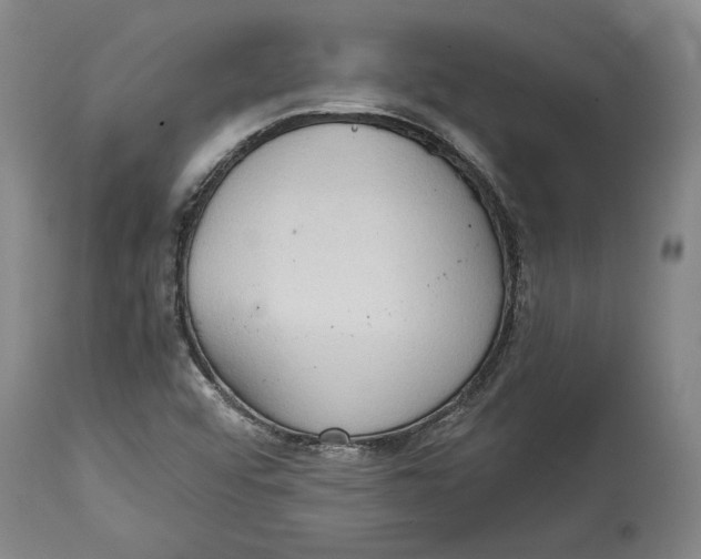 X0000114681456200911121446