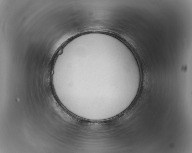 X0000114681458200911121446