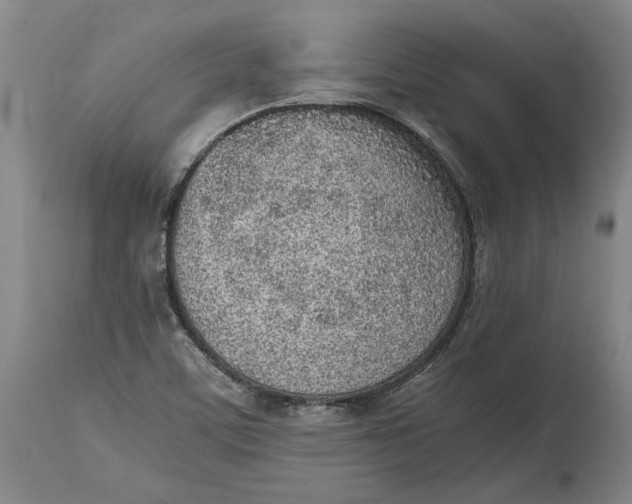 X0000114681459200911121446