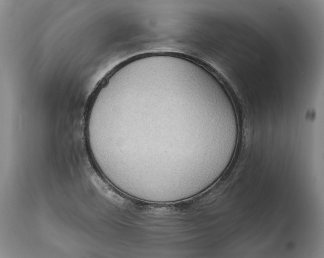 X0000114681460200911121446