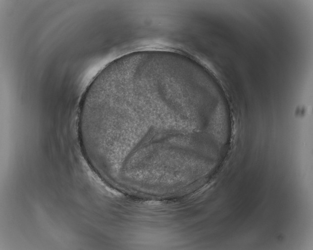 X0000114681463200911121446