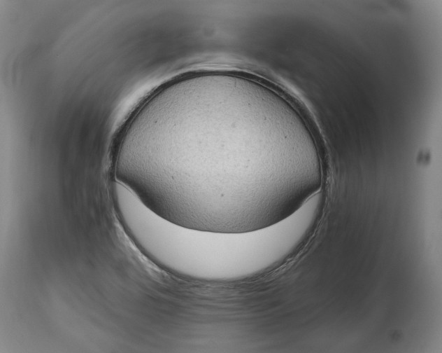 X0000114681464200911121446