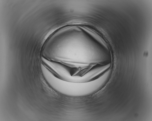 X0000114681465200911121446