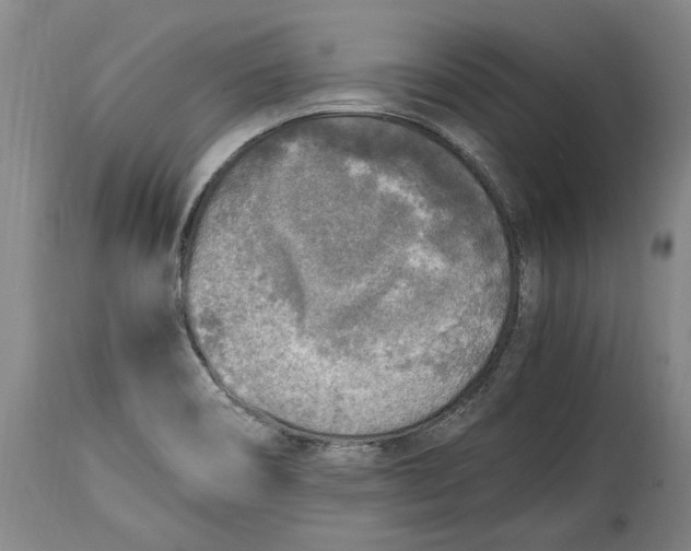 X0000114681466200911121446
