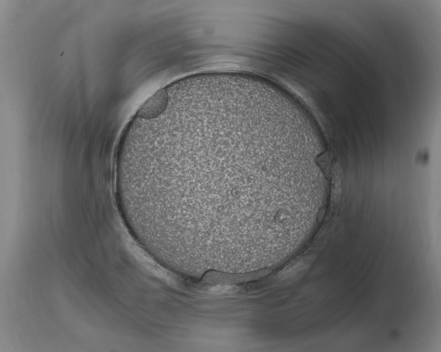 X0000114681467200911121446