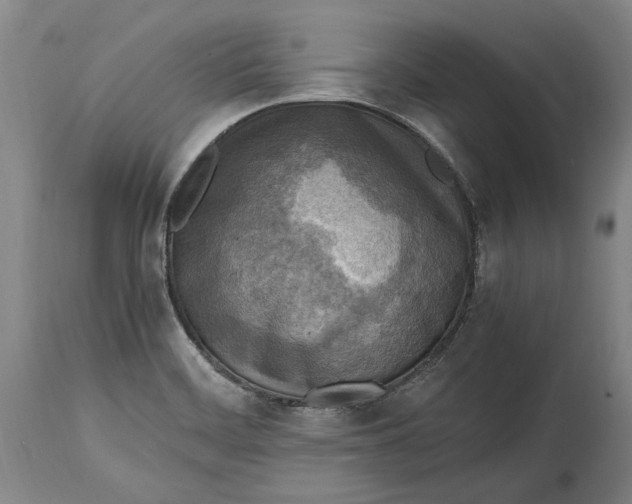 X0000114681468200911121446