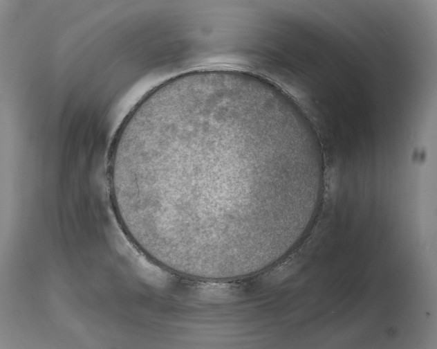 X0000114681470200911121446