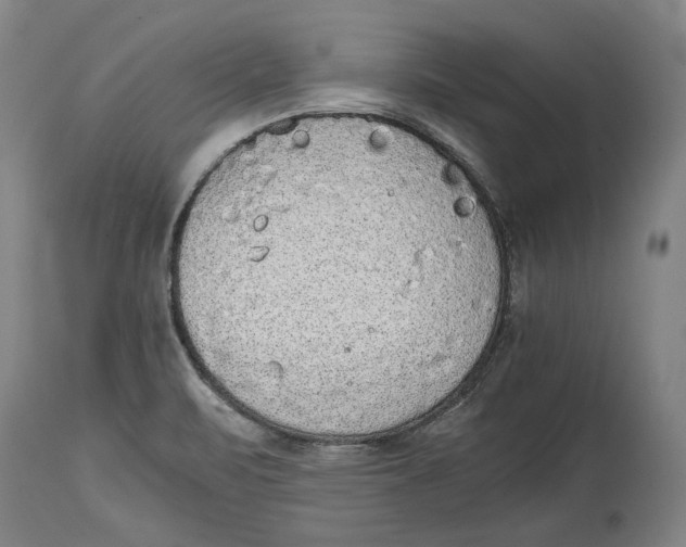 X0000114681471200911121446