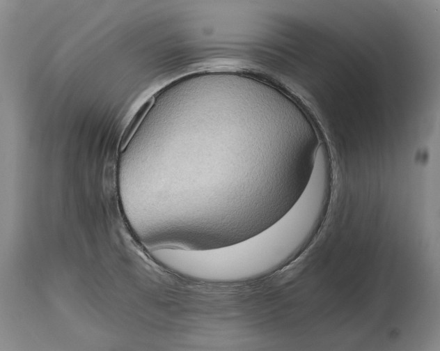 X0000114681473200911121446